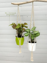 macrame-tejido-para-plantas-maceta-en-macrame-colgante-habibi-plantitas_e4fbc8b3-7ee9-409f-b0b0-271ac5af2055.jpg